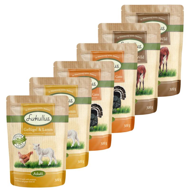 Sparpaket Lukullus Frischebeutel 24 x 300 g - Mixpaket: Regional & Mediterran Sparpaket Lukullus Frischebeutel 24 x 300 g - Mixpaket: Regional & Mediterran von Lukullus