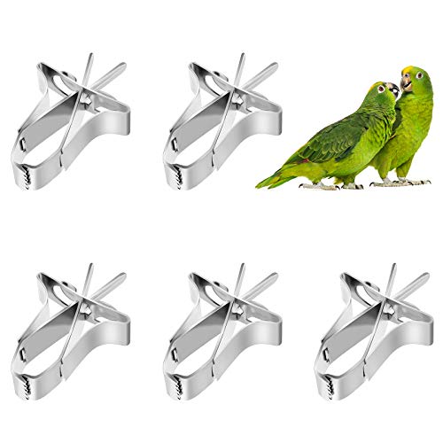 Papageien Obst Gemüse Feeder Clip 5 Stück Vögel Futterhalter Feeder Gerät Vogelkäfig Zubehör Metall Clips für Sittiche Wellensittiche Nymphensittiche von LuluDa