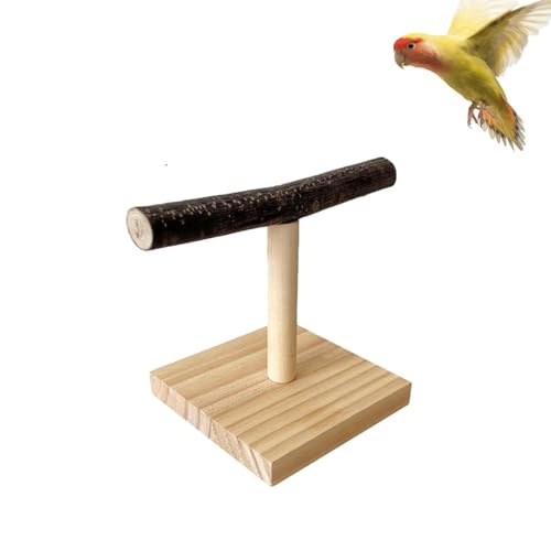 Vogel Spielständer, T-Förmiger Vogelsitz Aus Holz, Vogel-Trainingsständer Für Papageien, Mit Basis Für Drinnen Und Draußen, Vogel Trainingsstand, Für Nymphensittich Papageien Wellensittiche Vogel Spielständer, T-Förmiger Vogelsitz Aus Holz, Vogel-Trainingsständer Für Papageien, Mit Basis Für Drinnen Und Draußen, Vogel Trainingsstand, Für Nymphensittich Papageien Wellensittiche von Lulullaby