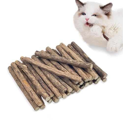 20 Stück Katzenminze Stick, Katzen Zahnpflege Sticks, Natürliches Katzenspielzeug, Katzen Zahnpflege Natur, Reduziert Zahnbeläge & Zahnstein, Matatabi-Kausticks, Katzenminze Sticks Zum Schleifen Zähne 20 Stück Katzenminze Stick, Katzen Zahnpflege Sticks, Natürliches Katzenspielzeug, Katzen Zahnpflege Natur, Reduziert Zahnbeläge & Zahnstein, Matatabi-Kausticks, Katzenminze Sticks Zum Schleifen Zähne von Lulullaby
