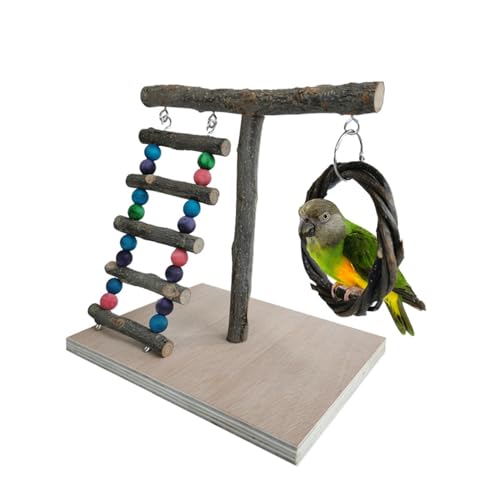 Vogel-Papageien-Spielständer Aus Holz, Vogelspielplatz, Papageien Spielplatz, Bird Playground, Vogelspielplatz Mit Leiter Und Schaukel, Vogel Spielplatz, Für Papageien, Wellensittiche, Sittiche, Finch Vogel-Papageien-Spielständer Aus Holz, Vogelspielplatz, Papageien Spielplatz, Bird Playground, Vogelspielplatz Mit Leiter Und Schaukel, Vogel Spielplatz, Für Papageien, Wellensittiche, Sittiche, Finch von Lulullaby