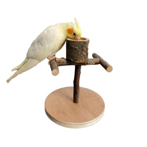 Vogelspielplatz, Vogel Sitzstangen, Papageien Spielplatz Mit Futtertasse, Naturholz Vogel Ständer, Tragbar Vogel Trainingsständer, Für Kleine Sittiche, Nymphensittiche, Wellensittiche Vogelspielplatz, Vogel Sitzstangen, Papageien Spielplatz Mit Futtertasse, Naturholz Vogel Ständer, Tragbar Vogel Trainingsständer, Für Kleine Sittiche, Nymphensittiche, Wellensittiche von Lulullaby