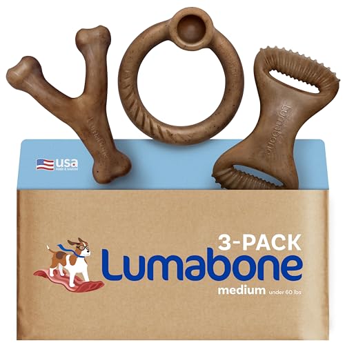 Lumabone Real Bacon Hundespielzeug für Aggressive Kauer, Querlenker, Zahnkauen, Ringspeck, mittelgroß, 3 Stück Lumabone Real Bacon Hundespielzeug für Aggressive Kauer, Querlenker, Zahnkauen, Ringspeck, mittelgroß, 3 Stück von Lumabone