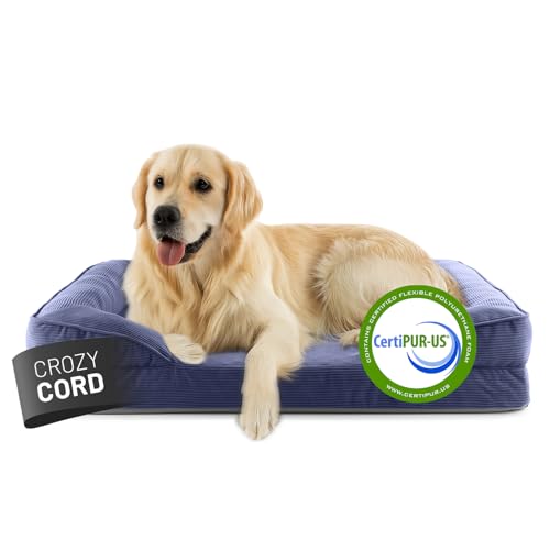 Lumaland orthopädisches Hundebett aus Cord | ergonomisches Hundesofa 110x75 cm - für große Hunde | Boden rutschfest | Füllung und Bezug waschbar | Hundekörbchen mit Memory Schaumstoff von Lumaland