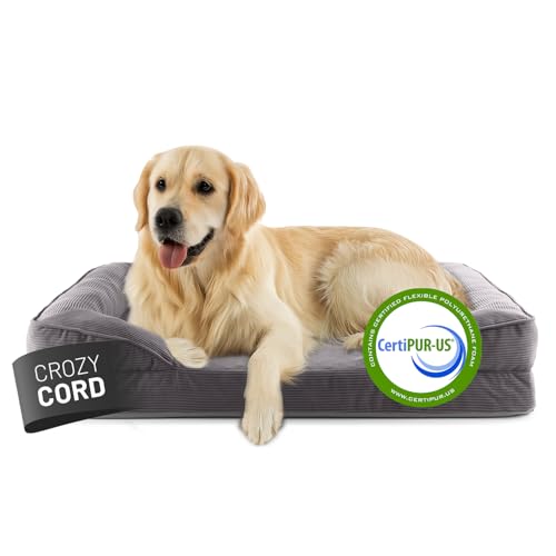 Lumaland orthopädisches Hundebett aus Cord | ergonomisches Hundesofa 110x75 cm - für große Hunde | Boden rutschfest | Füllung und Bezug waschbar | Hundekörbchen mit Memory Schaumstoff von Lumaland