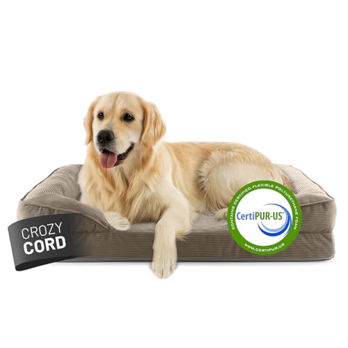 Lumaland orthopädisches Hundebett aus Cord | ergonomisches Hundesofa 110x75 cm - für große Hunde | Boden rutschfest | Füllung und Bezug waschbar | Hundekörbchen mit Memory Schaumstoff von Lumaland