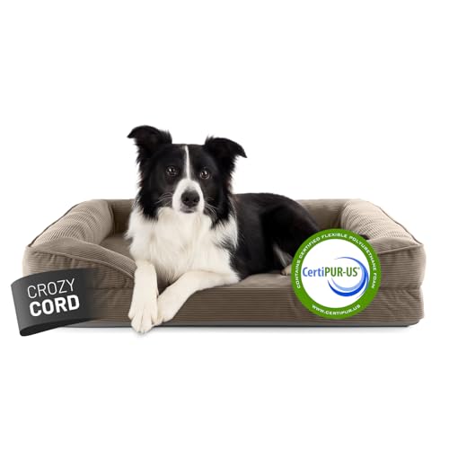 Lumaland orthopädisches Hundebett aus Cord | ergonomisches Hundesofa 90x65 cm - für mittelgroße Hunde | Boden rutschfest | Füllung und Bezug waschbar | Hundekörbchen mit Memory Schaumstoff von Lumaland