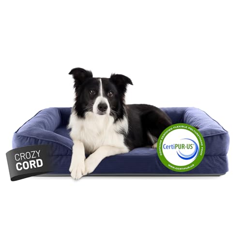 Lumaland orthopädisches Hundebett aus Cord | ergonomisches Hundesofa 90x65 cm - für mittelgroße Hunde | Boden rutschfest | Füllung und Bezug waschbar | Hundekörbchen mit Memory Schaumstoff von Lumaland