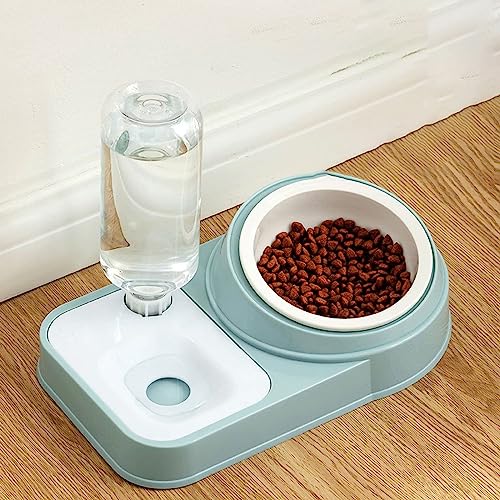 Futternapf-Set für Haustiere,Rutschfester Katzennapf aus Edelstahl,Futternapf für Haustiere,PP-Basis,Futternapf aus Edelstahl,automatische Wassernachfüllflasche,für kleine oder mittelgroße Hunde Futternapf-Set für Haustiere,Rutschfester Katzennapf aus Edelstahl,Futternapf für Haustiere,PP-Basis,Futternapf aus Edelstahl,automatische Wassernachfüllflasche,für kleine oder mittelgroße Hunde von LuminescentDream