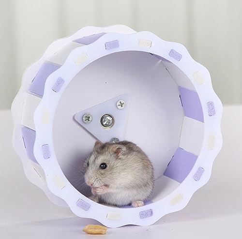 Hamsterrad,Kleintierspielzeug Laufrad Laufrad Hamster,Laufrad Hamster,Lautloses Hamsterrad,Hamsterrad Übungsrad Für Hamster,Für Chinchilla,Igel,Rennmäuse Und Andere Kleintiere Hamsterrad,Kleintierspielzeug Laufrad Laufrad Hamster,Laufrad Hamster,Lautloses Hamsterrad,Hamsterrad Übungsrad Für Hamster,Für Chinchilla,Igel,Rennmäuse Und Andere Kleintiere von Luminexia