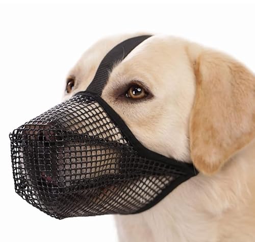 Verstellbarer, atmungsaktiver Maulkorb aus Netzstoff mit Überkopfgurt für kleine, mittelgroße und große Hunde, leichte Hundemaske, Mundschutz, verhindert Beißen, Giftköder, Bellen, Lecken und Kauen Verstellbarer, atmungsaktiver Maulkorb aus Netzstoff mit Überkopfgurt für kleine, mittelgroße und große Hunde, leichte Hundemaske, Mundschutz, verhindert Beißen, Giftköder, Bellen, Lecken und Kauen von Luminexia