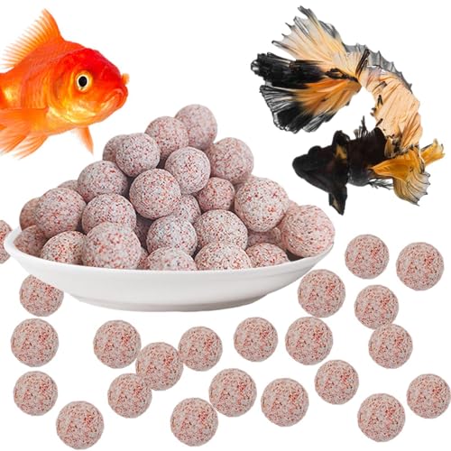 Bio Balls - Kleine Aquarium Filtermedien Bio Ball | Keramik Filterbälle | Fish Tank Bio Balls | 500 Aquarium Bio Balls Filtermedien | Aquarium Keramik Bio Filtermedien für Süßwasser und Meeresfische Bio Balls - Kleine Aquarium Filtermedien Bio Ball | Keramik Filterbälle | Fish Tank Bio Balls | 500 Aquarium Bio Balls Filtermedien | Aquarium Keramik Bio Filtermedien für Süßwasser und Meeresfische von Lumiscent