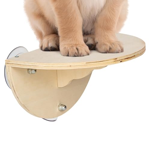 Fenster-Katzen-Hängematte – platzsparende Katzen-Sitzstange für Fensterbank | Katzenhängematte für Fenster | Katzenregal Bett Klettersitz mit 3 Saugnäpfen Katzenregal Wandmontage für Fenster-Katzen-Hängematte – platzsparende Katzen-Sitzstange für Fensterbank | Katzenhängematte für Fenster | Katzenregal Bett Klettersitz mit 3 Saugnäpfen Katzenregal Wandmontage für von Lumiscent