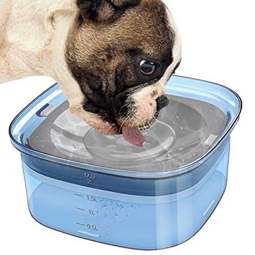 Hunde Wassernapf, ABS Anti Splash Hund Wassernapf Wassernapf mit Langsamer Wasserzufuhr Anti Verschütten Haustier Wassernapf Reise Wassernapf für Hunde und Katzen Blau Hunde Wassernapf, ABS Anti Splash Hund Wassernapf Wassernapf mit Langsamer Wasserzufuhr Anti Verschütten Haustier Wassernapf Reise Wassernapf für Hunde und Katzen Blau von Lumiscent