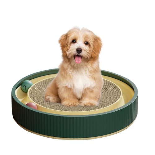 Katzenkratzpad, Katzenkratzpad mit interaktiven Bällen Katzenkratzbrett, rundes Katzenkratzbrett, Katzenkratzpappe, Katzenspielzeug Ballbahn für Möbelschutz, unterstützt Haustier Katzenkratzpad, Katzenkratzpad mit interaktiven Bällen Katzenkratzbrett, rundes Katzenkratzbrett, Katzenkratzpappe, Katzenspielzeug Ballbahn für Möbelschutz, unterstützt Haustier von Lumiscent