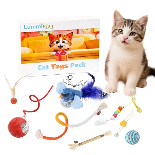LummiPlay Interaktiver Katzenspielzeugball, rotes geripptes Design, transparenter Boden LummiPlay Interaktiver Katzenspielzeugball, rotes geripptes Design, transparenter Boden von LummiPlay