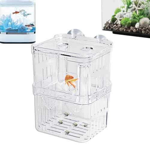 Aquarium Zuchtbox - Akklimatisierungsbox Mit Trennwand Für Aggressive Fische, Aquarium Zuchtkasten Aus Acryl Für Jungfische |, Fische B von Lunaobrik