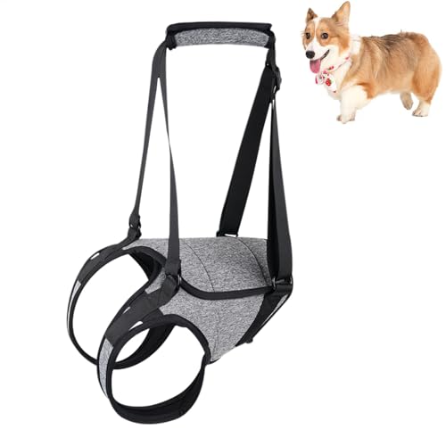 Hundehebekabelbaum - Hilfsgurt, Walking Aid | Enborn Für Ältere Hunde, Heckunterstützung Für Verringerte Mobilität, Gurt Mit Verletzten Tiergriffen Oder Rehabilitation Hundehebekabelbaum - Hilfsgurt, Walking Aid | Enborn Für Ältere Hunde, Heckunterstützung Für Verringerte Mobilität, Gurt Mit Verletzten Tiergriffen Oder Rehabilitation von Lunaobrik