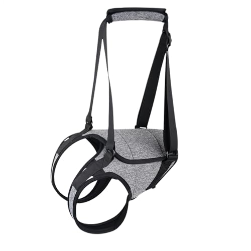 Hundehebekabelbaum - Hilfsgurt, Walking Aid | Enborn Für Ältere Hunde, Heckunterstützung Für Verringerte Mobilität, Gurt Mit Verletzten Tiergriffen Oder Rehabilitation Hundehebekabelbaum - Hilfsgurt, Walking Aid | Enborn Für Ältere Hunde, Heckunterstützung Für Verringerte Mobilität, Gurt Mit Verletzten Tiergriffen Oder Rehabilitation von Lunaobrik
