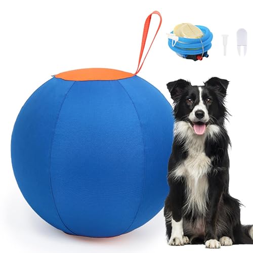 Hundespielzeug im Freien - Hundespielzeug mit Ball für große Hunde, aufblasbarer Ball Spielzeug für Haustiere | Blaues Mehrzweckspielzeug für Welpen, Hundespielzeug für g Hundespielzeug im Freien - Hundespielzeug mit Ball für große Hunde, aufblasbarer Ball Spielzeug für Haustiere | Blaues Mehrzweckspielzeug für Welpen, Hundespielzeug für g von Lunaobrik