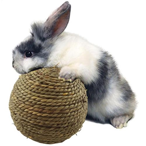 Kräuter-Kauball – Umweltfreundliches Kauspielzeug, natürlicher Kauball | Gras-Kauspielzeug mit Hamster-Kauzähnen, Knirschen, Naturgras mit Zahnreinigung, Kauquietscher für Katzen, Kaninchen, kleine Na Kräuter-Kauball – Umweltfreundliches Kauspielzeug, natürlicher Kauball | Gras-Kauspielzeug mit Hamster-Kauzähnen, Knirschen, Naturgras mit Zahnreinigung, Kauquietscher für Katzen, Kaninchen, kleine Na von Lunaobrik