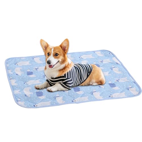 Lunaobrik Kühlpad für Haustiere, Kühlpad für Hunde, wasserdichte Hunde-Kühlmatte aus Netzgewebe - Multifunktionales Sommerzubehör, Zubehör Lunaobrik Kühlpad für Haustiere, Kühlpad für Hunde, wasserdichte Hunde-Kühlmatte aus Netzgewebe - Multifunktionales Sommerzubehör, Zubehör von Lunaobrik