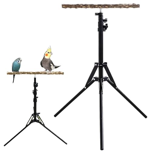 Verstellbarer Vogelständer – höhenausziehbarer -Trainingsständer | Vogelablage aus Naturholz, für drinnen und draußen, Fellpflegesitz, stabiles Holz-Spielstudio, mehrere Voliere, freistehende Verstellbarer Vogelständer – höhenausziehbarer -Trainingsständer | Vogelablage aus Naturholz, für drinnen und draußen, Fellpflegesitz, stabiles Holz-Spielstudio, mehrere Voliere, freistehende von Lunaobrik