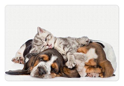 Lunarable Lustige Haustiermatte für Futter und Wasser, Kätzchen, das auf den Welpen liegt, Basset Hound und Lecks, schlafendes Kuschelbild, 45.7x30.5 cm, mehrfarbig von Lunarable
