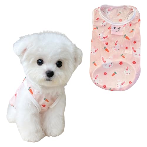 Kühlweste für Hunde und Katzen, atmungsaktiv, Sommer, UV-Schutz, Anti-Haarausfall, leicht, für kleine Haustiere, bequemes Sonnenshirt, Rosa, Größe XL Kühlweste für Hunde und Katzen, atmungsaktiv, Sommer, UV-Schutz, Anti-Haarausfall, leicht, für kleine Haustiere, bequemes Sonnenshirt, Rosa, Größe XL von Lunarthos