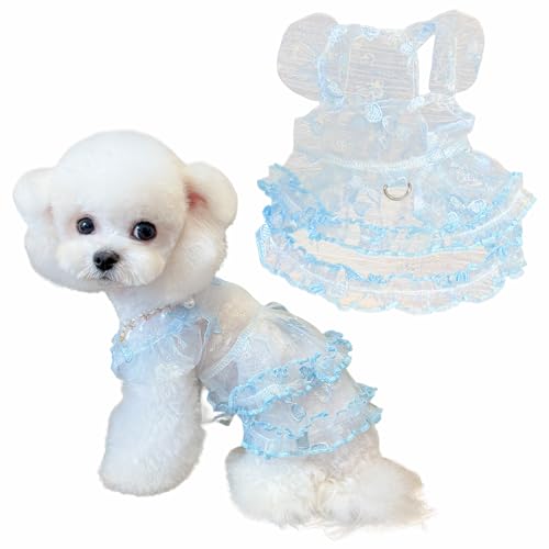 Spitzenkleid für Haustiere, Prinzessinnen-Stil, Outfit für kleine Hunde und Katzen, Ballerina-Design mit Sonnenschutz und Anti-Futter, ideal für Geburtstage und den täglichen Gebrauch, Blau, Größe M Spitzenkleid für Haustiere, Prinzessinnen-Stil, Outfit für kleine Hunde und Katzen, Ballerina-Design mit Sonnenschutz und Anti-Futter, ideal für Geburtstage und den täglichen Gebrauch, Blau, Größe M von Lunarthos