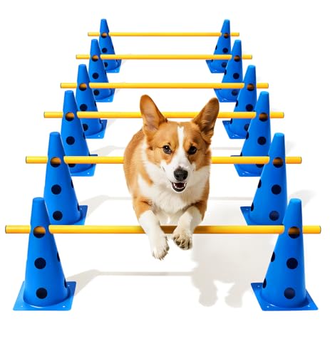 Lupar Agility-Kurs-Hinterhof-Set, Hunde-Agility-Hürden-Kegel-Set mit höhenverstellbarer Querstange für Rehabilitation und Anfänger, Hunde-Agility-Ausrüstung für Hunde-Hinderniskurs – 30,5 cm von Lupar