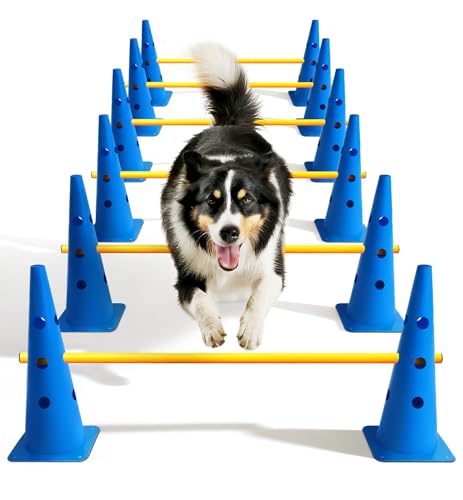 Lupar Agility-Kurs-Hinterhof-Set, Hunde-Agility-Hürden-Kegel-Set mit höhenverstellbarer Querstange für Rehabilitation und Anfänger, Hunde-Agility-Ausrüstung für Hunde-Hinderniskurs – 45,7 cm Lupar Agility-Kurs-Hinterhof-Set, Hunde-Agility-Hürden-Kegel-Set mit höhenverstellbarer Querstange für Rehabilitation und Anfänger, Hunde-Agility-Ausrüstung für Hunde-Hinderniskurs – 45,7 cm von Lupar
