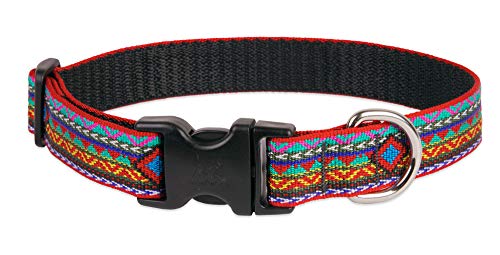Lupine Dog Collar 1" Wide EL Paso Design adjusts 12-20" Long von Lupine