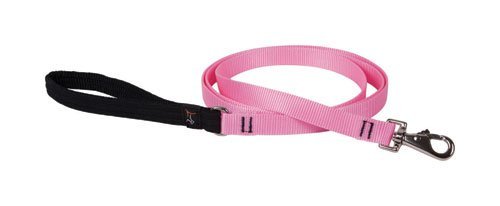 Unique Leash Nylon Pink von Lupine