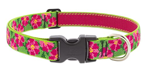 Lupine Hundehalsband, 2,5 cm breit, verstellbar von 40,6 cm bis 71,1 cm Lupine Hundehalsband, 2,5 cm breit, verstellbar von 40,6 cm bis 71,1 cm von LupinePet