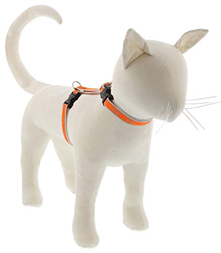 Lupine Reflektierendes Katzen- und Kleintiergeschirr, H-Stil, 1,27 cm breit, orangefarbener Diamant, mit 30,5 cm bis 50,8 cm verstellbarem Umfang von LupinePet