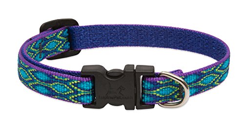 Lupine Regen Lied Verstellbare Hundeleine Halsband für kleine Hunde Lupine Regen Lied Verstellbare Hundeleine Halsband für kleine Hunde von LupinePet