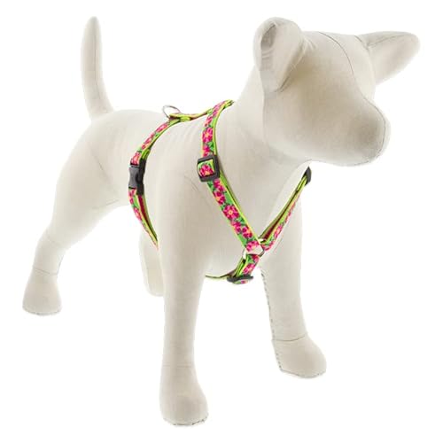 Lupine verstellbares Hundegeschirr mit 1,9 cm breiten Petunien, 35,6–61 cm Umfang Lupine verstellbares Hundegeschirr mit 1,9 cm breiten Petunien, 35,6–61 cm Umfang von LupinePet