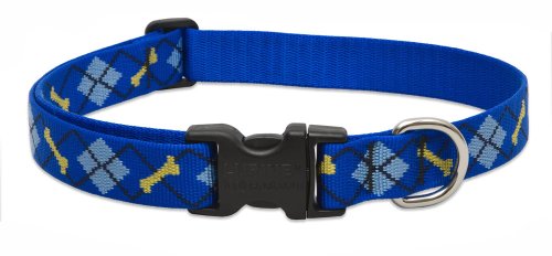 LupinePet Originals Hundehalsband, 2,5 cm, verstellbar, 63,5–78,7 cm, für extra große Hunde von LupinePet