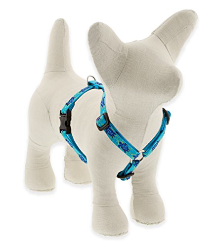 LupinePet Originals Turtle Reef Hundegeschirr für kleine Hunde, verstellbar, 1,27 cm, 30,5–50,8 cm LupinePet Originals Turtle Reef Hundegeschirr für kleine Hunde, verstellbar, 1,27 cm, 30,5–50,8 cm von LupinePet