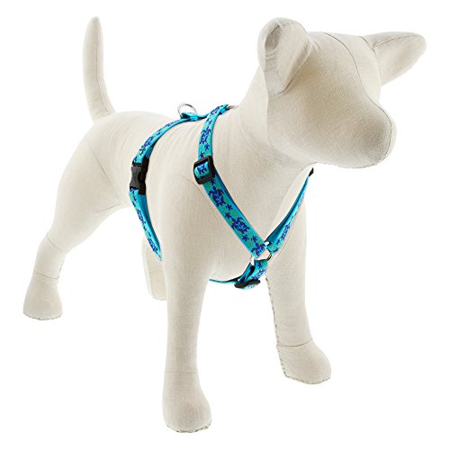 LupinePet Originals Turtle Reef Hundegeschirr für mittelgroße Hunde, 1,9 cm, verstellbar, 35,6 - 61 cm LupinePet Originals Turtle Reef Hundegeschirr für mittelgroße Hunde, 1,9 cm, verstellbar, 35,6 - 61 cm von LupinePet