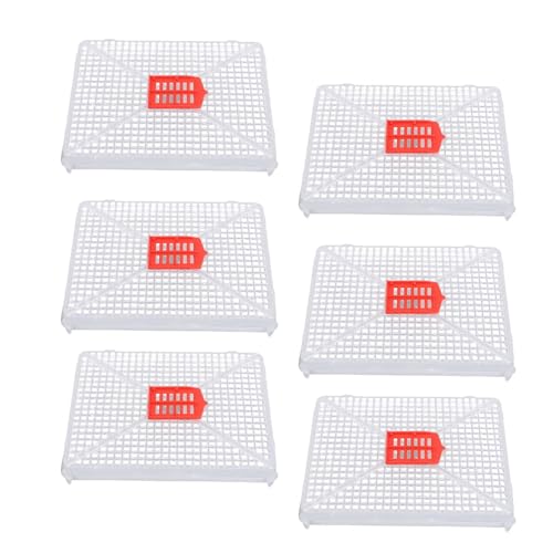 Luqeeg 6-Teilige Bienenköniginnenkäfige, Werkzeug zum Fangen von Bienenköniginnen mit Quadratischer Schnalle aus Kunststoff, Feinmaschiges Gitter für Künstliches Schwärmen Luqeeg 6-Teilige Bienenköniginnenkäfige, Werkzeug zum Fangen von Bienenköniginnen mit Quadratischer Schnalle aus Kunststoff, Feinmaschiges Gitter für Künstliches Schwärmen von Luqeeg