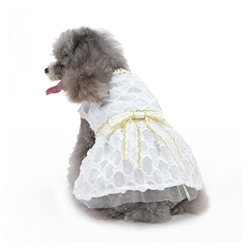 Luqeeg Hunde Kleid mit Bowknot, Glänzende Mädchen Welpen Rock Weiße Prinzessin Kleider, Haustier Spitzen Kostüm Sommer Bekleidung Formale Kleidung für Hochzeits Feier Urlaub (M) von Luqeeg