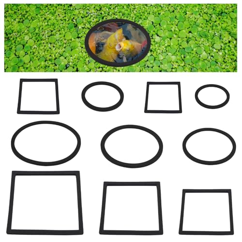 10 Stück Schwimmende Pflanzenringe Aquarien 5 Größen Schwimmenden Pflanzenbarrieren Set Schaumstoff Schwimmpflanzen Futterringe Runde Quadratische Fischfutterringe Für Fische Aquarium Zubehör 10 Stück Schwimmende Pflanzenringe Aquarien 5 Größen Schwimmenden Pflanzenbarrieren Set Schaumstoff Schwimmpflanzen Futterringe Runde Quadratische Fischfutterringe Für Fische Aquarium Zubehör von Lusofie