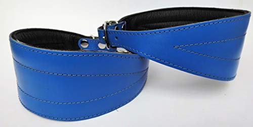 Greyhound Windhund - Podenco - Galgo Halsband, Halsumfang 33-41cm/57mm, Leder °BLAU° (594) von Lusy011