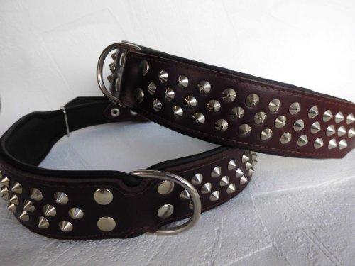 Lusy011 Leder Halsband - Hundehalsband, Nieten, Halsumfang 61-72cm, BRAUN - Schwarz, NEU (255-15-45) von Lusy011