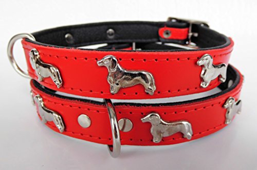 *DACKEL* Hunde Halsband, Leder, Halsumfang 28-31cm; 30-36cm; 36-41cm,* ROT* NEU (40cm (Halsumfang 30-36cm)) von Lusy011