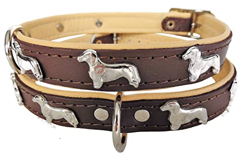 *DACKEL* Hunde Halsband, Leder, Halsumfang 28-32cm oder 30-36cm oder 36-41cm, BRAUN-Beige NEU (28-32cm/36cm/20mm) von Lusy011