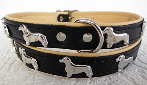 *DACKEL* Hunde Halsband, Leder, Halsumfang 28-32cm oder 36-41cm, SCHWARZ -Beige NEU (Halsumfang 36-41cm/45cm/20mm) von Lusy011
