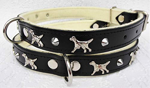 Lusy011 *Setter* Hunde Halsband - Hundehalsband- Halsumfang 44-55cm/25mm, Leder. Schwarz (19.9.3.02) von Lusy011
